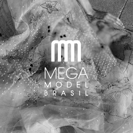 Mega model